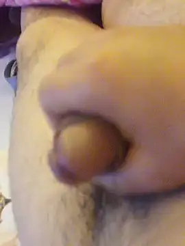 Hl1979 online show from 4, 4, 2026