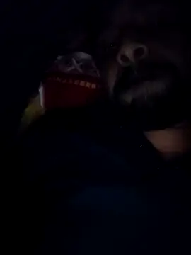 Sexyhotboy7inch online show from 21, 11, 2025