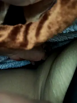 ache45 online show from 10, 3, 2026