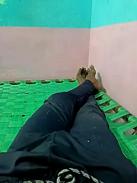 dolphiinn online show from 23, 9, 2025