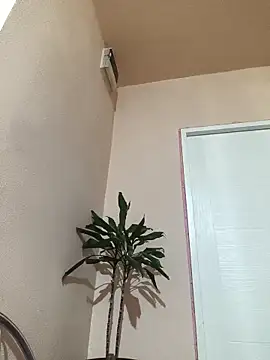 papichulo0099 online show from 21, 10, 2025