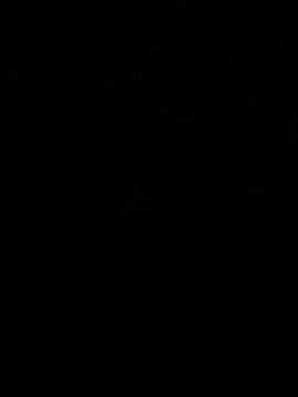 RevokingWaverer online show from 6, 2, 2026