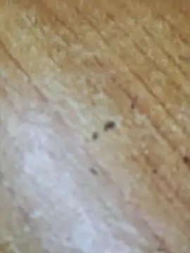 Markroco696 online show from 6, 10, 2025