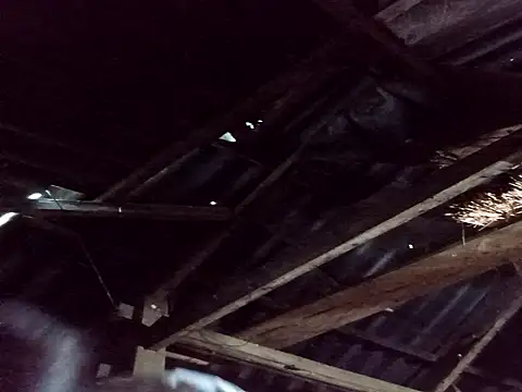  Helala  online show from 25, 10, 2025