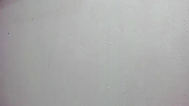 scarlett646 online show from 14, 11, 2025