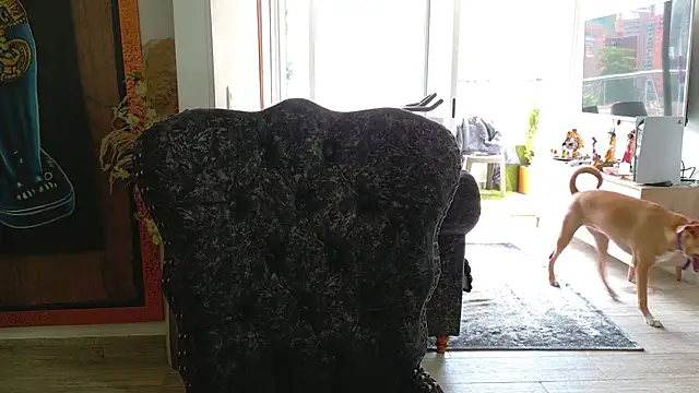 Snapshot of Sarahlove_90 chatting on 26, 10, 2025 Sarahlove 90 online show from 26, 10, 2025