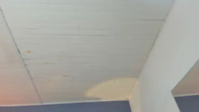 BellaBoobs  online show from 3, 10, 2025