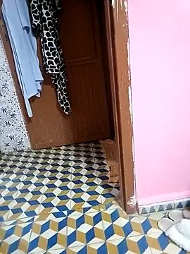 Mayamimi online show from 8, 11, 2025