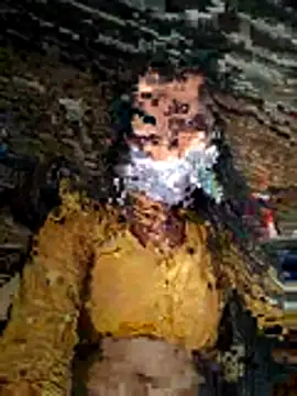 Snapshot of Sapna_thakurr chatting on 17, 11, 2025 Sapna thakurr online show from 17, 11, 2025