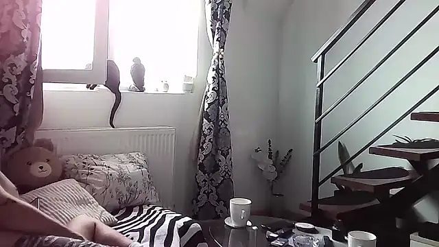 RyanStorm  online show from 10, 9, 2025