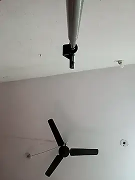 Appypie online show from 9, 11, 2025