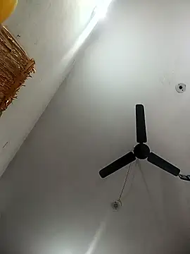 Appypie online show from 17, 1, 2026