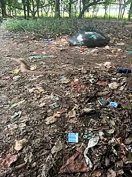 caoxxxs online show from 14, 1, 2026