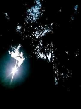 Lisa pusy online show from 22, 10, 2025