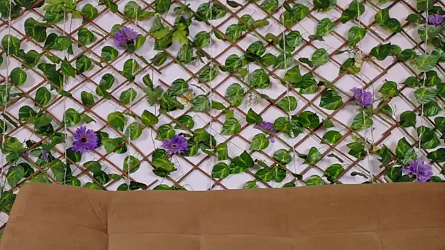 kloe bella online show from 13, 1, 2026