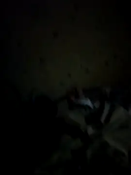 Snapshot of IncompatibleBean41 chatting on 20, 9, 2025 IncompatibleBean41 online show from 20, 9, 2025