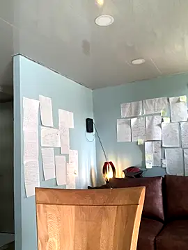 Canneela online show from 29, 11, 2025