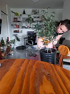 AmnesiaKushxSkywalkerOg online show from 7, 1, 2026