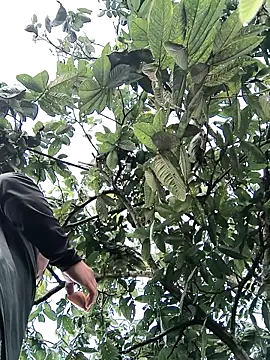 lamejorpene online show from 5, 2, 2026