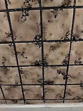 Snapshot of rosembertg chatting on 2, 10, 2025 rosembertg online show from 2, 10, 2025