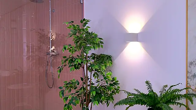 AmadaReine online show from 14, 11, 2025