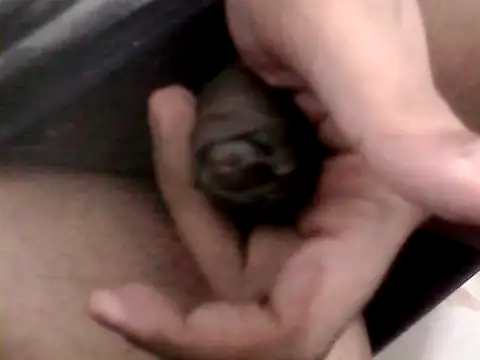 Snapshot of Bakasur_19 chatting on 9, 10, 2025 Bakasur 19 online show from 9, 10, 2025