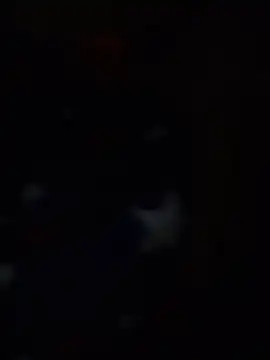 Lindasimpson online show from 11, 1, 2026