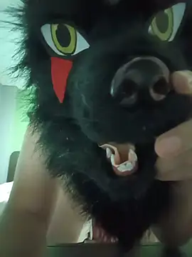 Wolf Okami SP online show from 21, 7, 2026