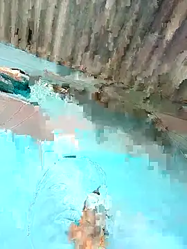 Hot-honi online show from 22, 12, 2025