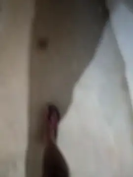 sexy  girls98 online show from 27, 11, 2025