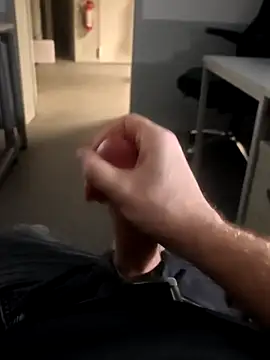 stunning stallion online show from 13, 2, 2026