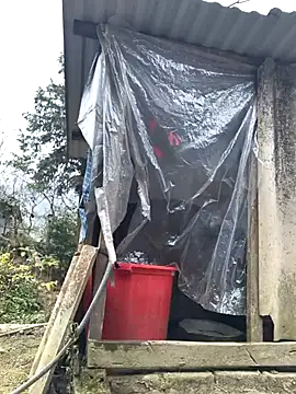 liu-liusexy online show from 19, 1, 2026