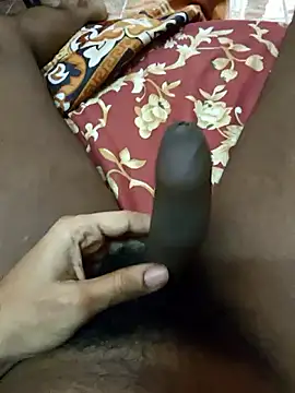 black cock 997 online show from 19, 3, 2026