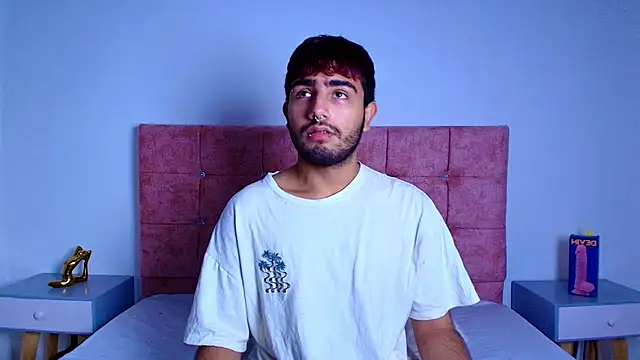 Ares Alpha online show from 4, 11, 2025