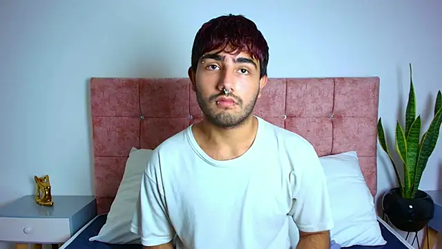 Ares Alpha online show from 22, 11, 2025