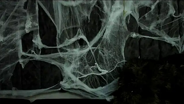 Snapshot of Rowan_Mills chatting on 10, 10, 2025 Rowan Mills online show from 10, 10, 2025