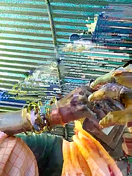 Pooja750 online show from 14, 9, 2025