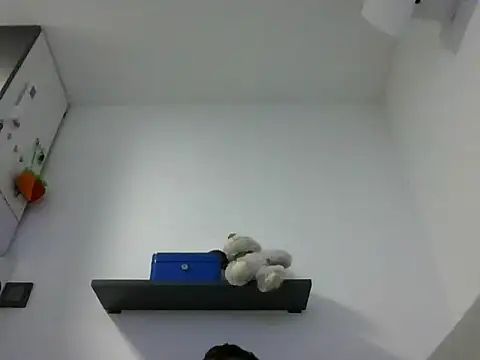 Snapshot of IMGTomi chatting on 17, 6, 2026 IMGTomi online show from 17, 6, 2026
