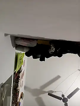 Payal950 online show from 8, 11, 2025