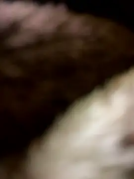 LOVE4GIRL online show from 12, 4, 2026