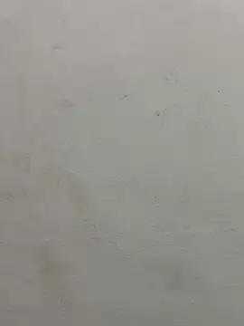 Snapshot of jully-jully chatting on 24, 9, 2025 jully-jully online show from 24, 9, 2025