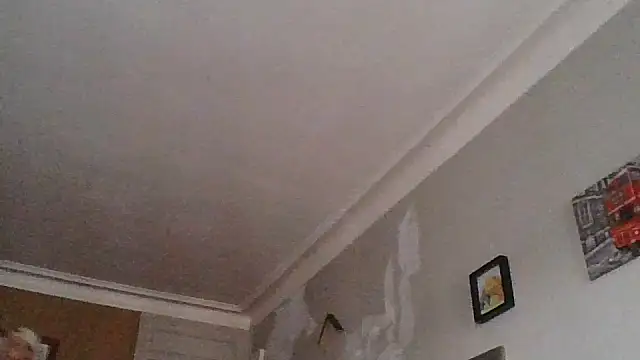 Snapshot of Titilouonlyf69 chatting on 23, 7, 2026 Titilouonlyf69 online show from 23, 7, 2026