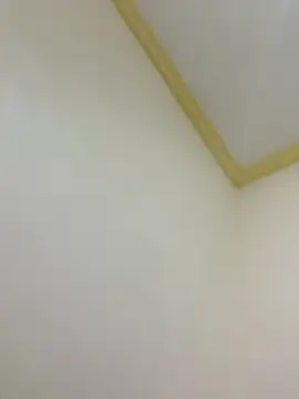 igsva online show from 8, 11, 2025