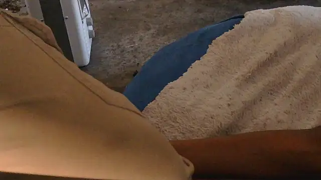 Snapshot of Gmajor chatting on 19, 11, 2025 Gmajor online show from 19, 11, 2025