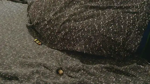 Gmajor online show from 11, 4, 2026