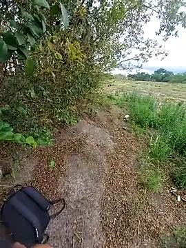 magraocam online show from 6, 11, 2025