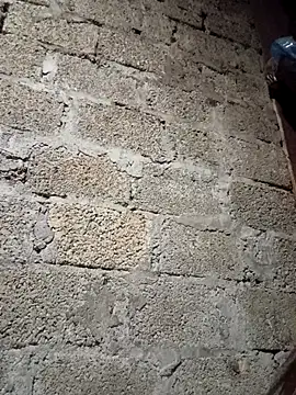 me-cute online show from 16, 12, 2025