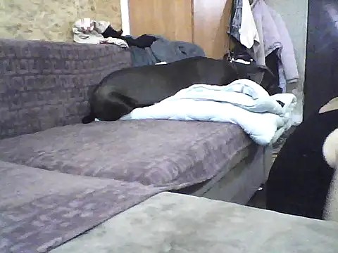 Snapshot of Milana38 chatting on 7, 10, 2025 Milana38 online show from 7, 10, 2025