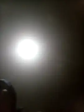 Bebicho14 online show from 17, 3, 2026