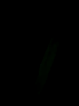 Marleymols online show from 2, 12, 2025